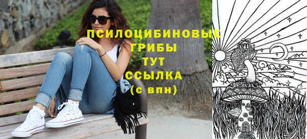 марки lsd Гусиноозёрск