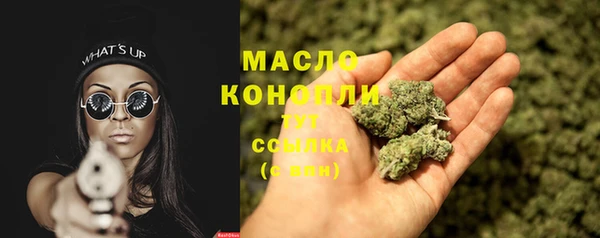 гашик Гусь-Хрустальный