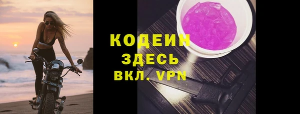 хмурый Гусев