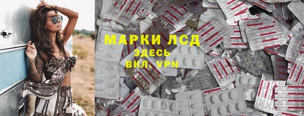 хмурый Гусев