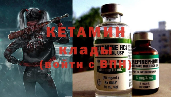 гашик Гусь-Хрустальный