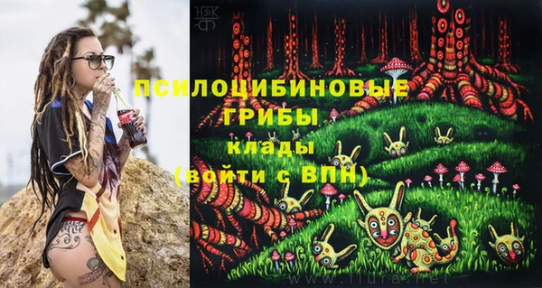 хмурый Гусев