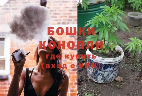 гашик Гусь-Хрустальный