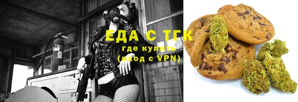 тгк Аша